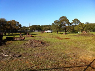 Busselton tree planting