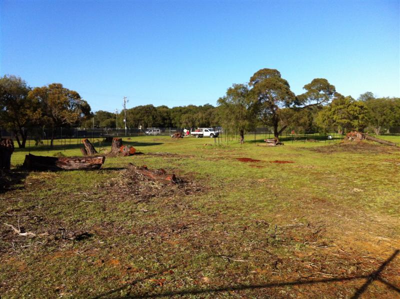Busselton tree planting