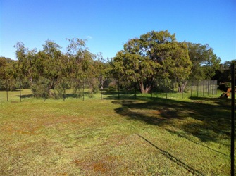 Busselton tree planting