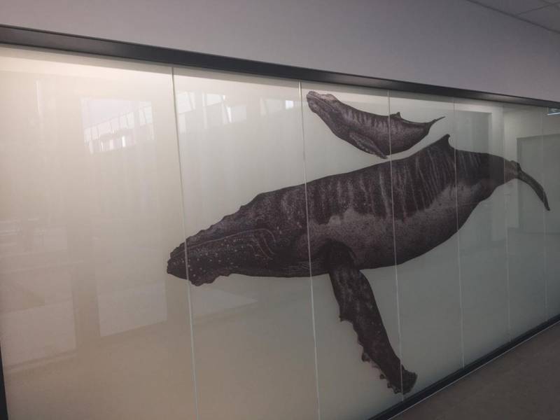 Whale art